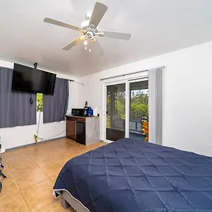  Homestay Blue Hawaiian United States